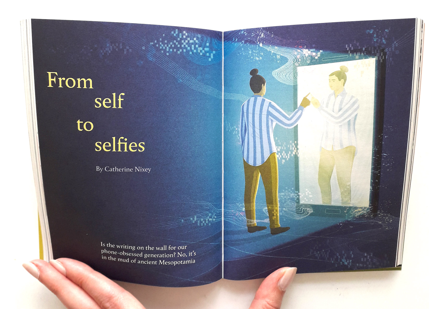 Photo of illustration for Tortoise From Self to Selfies